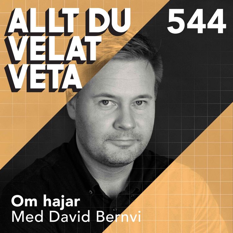 cover art for 544 Om hajar med David Bernvi - Havets urtidsrovdjur – vad vi egentligen vet om dem?